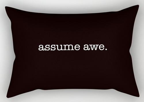assume awe rect. pillow copy