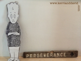 chicken and perseverance website box copy