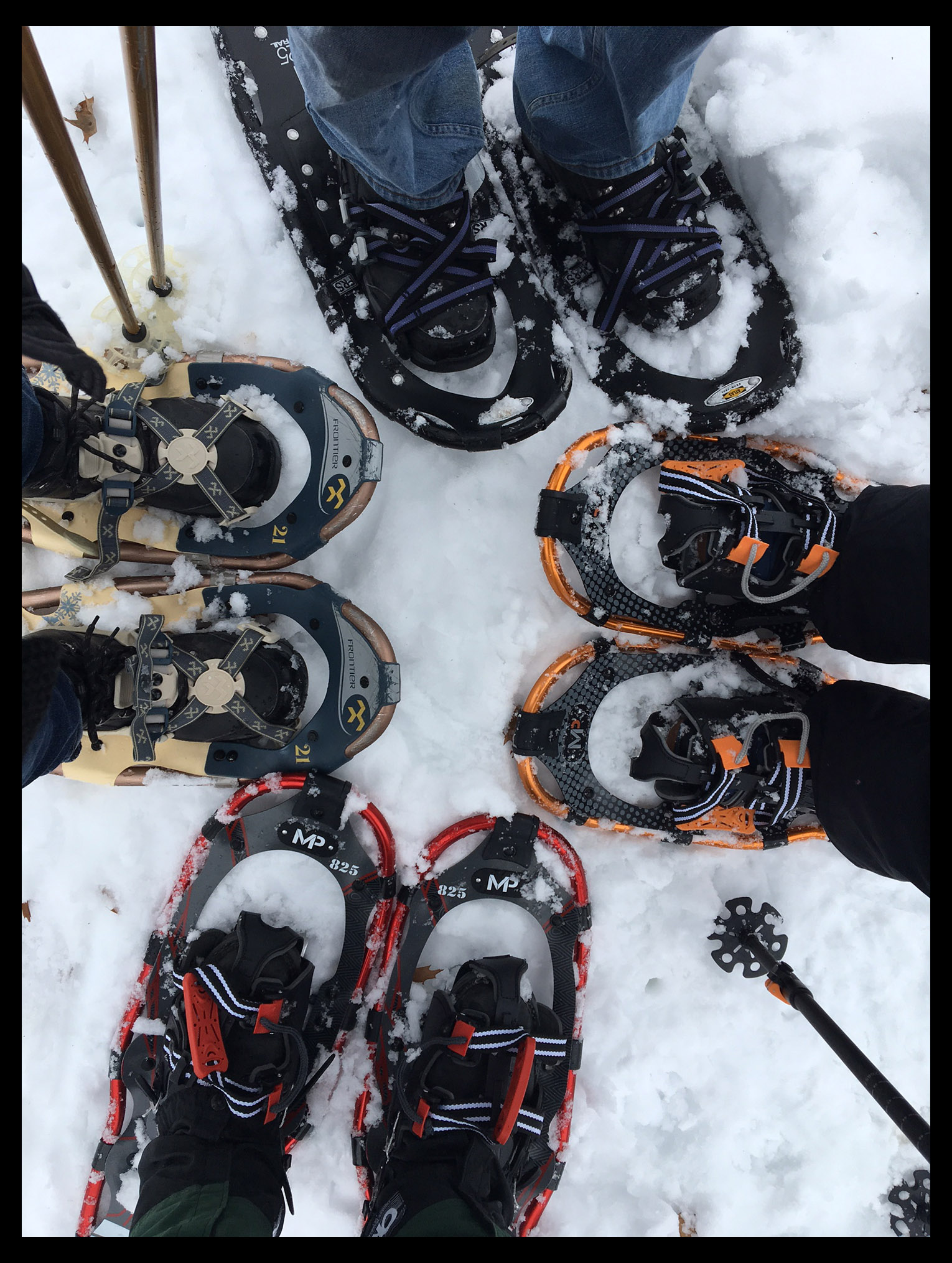 snowshoes with frame copy